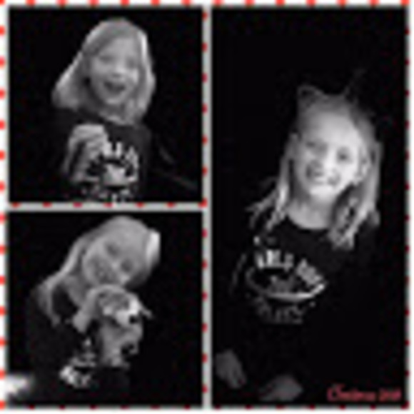 Meet your Posher, Campbell - Picture 1 of 1